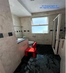 Evergreen Park (D19), Apartment #495700941